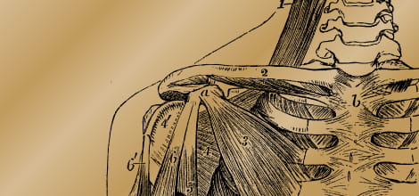 Management of a sports injury image